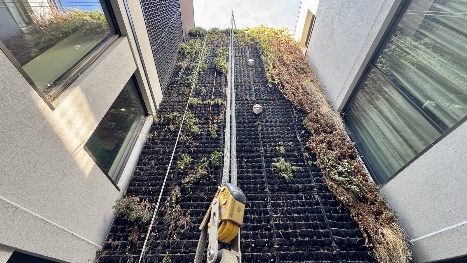 Living Wall & Green Facade Maintenance