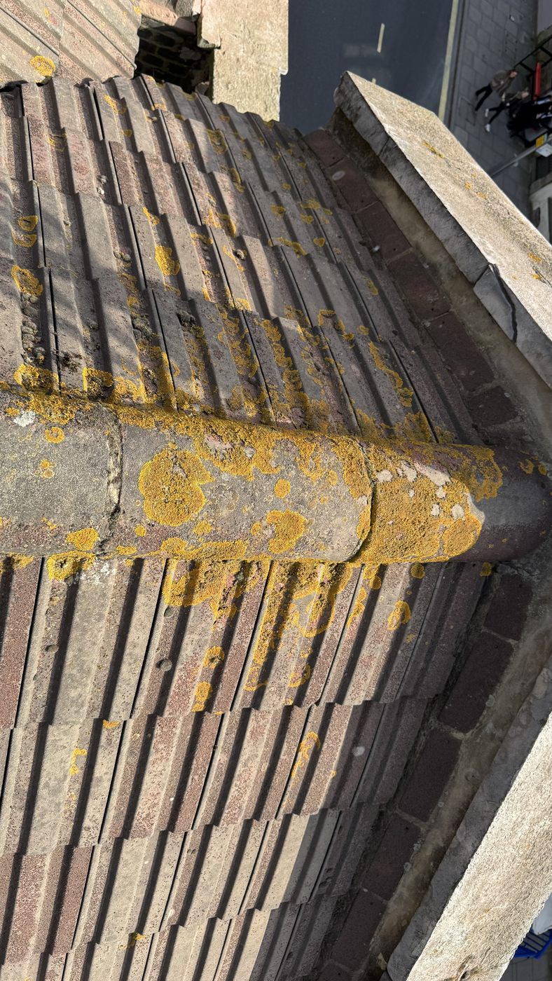 Tiled roof slope and ridge in serviceable condition seen from rope access